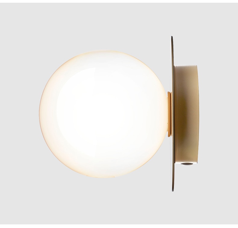 Globe Ceiling Light With Metal Plate